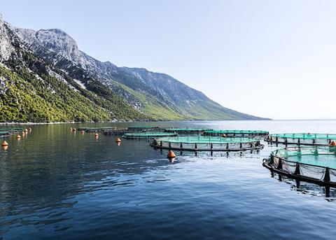 Avramar – a fresh journey for Mediterranean aquaculture Photo: Avramar