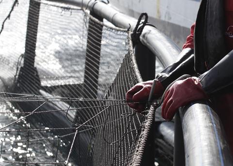 The acquisition means NOOMAS can support the aquaculture industry with a "stronger structure". Photo: Thomas Bjørkan