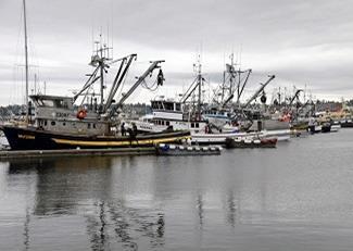 This year’s programme will focus on the economic vitality of fishery working waterfront communities