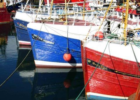 The EC has implemented a cut of between 15% and 25% in the number of days that whitefish and prawn fishing vessels can put to sea in 2012. Credit: Wiki/Stephen McKay