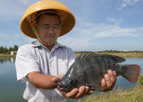 Thirty-four tilapia farms in Hainan, China, have earned Best Aquaculture Practices (BAP) certification