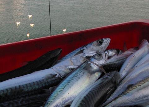 Support for hard-hit Scottish businesses??