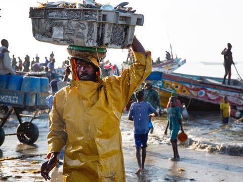 Senegal fisher