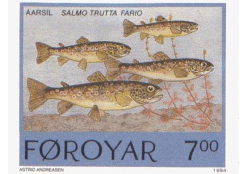 The genome of the brown trout has been sequenced allowing scientists to better understand its 'genetic superpowers'