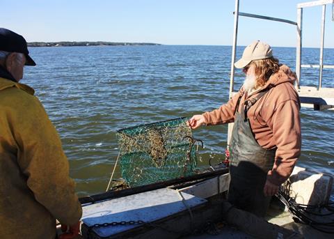 As part of a pilot program with the North Carolina Coastal Federation, funded through a NOAA Marine Debris Community-based removal grant, commercial fishermen remove derelict crab pots in order to repurpose them as artificial oyster reefs. Credit: NOAA