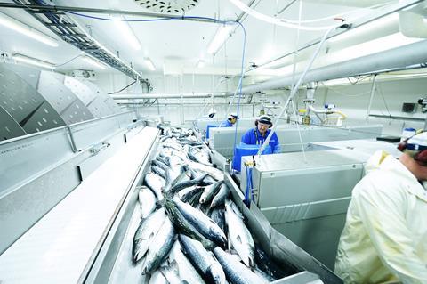Norwegian salmon harvest