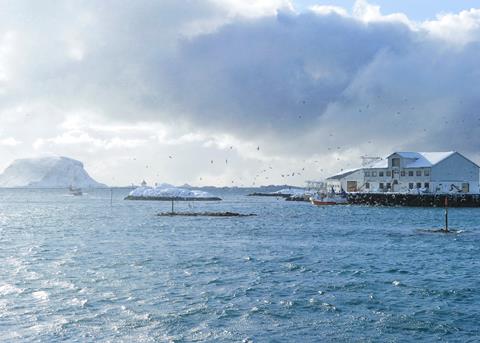 In 2011, Norwegian seafood exports totalled NOK 53 billion. Røst Johan Wildhagen © Sjømatrådet