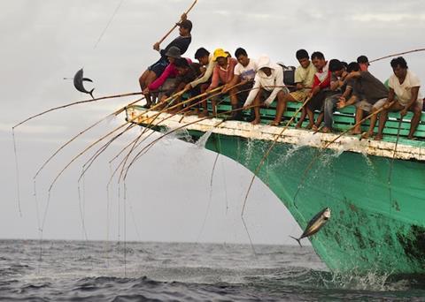 Tuna fishing