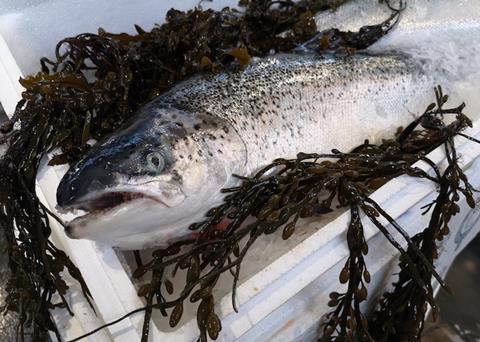 New and uncertain horizons