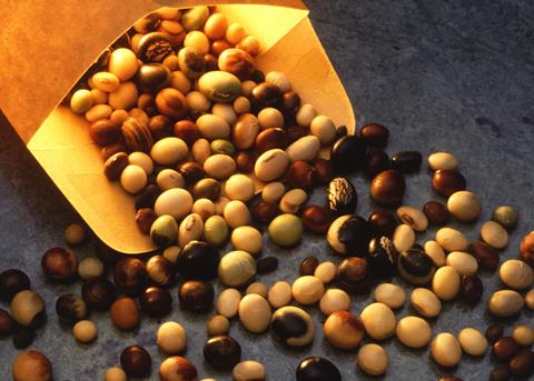 Soybeans are a popular fish feed ingredient. Photo: Scott Bauer