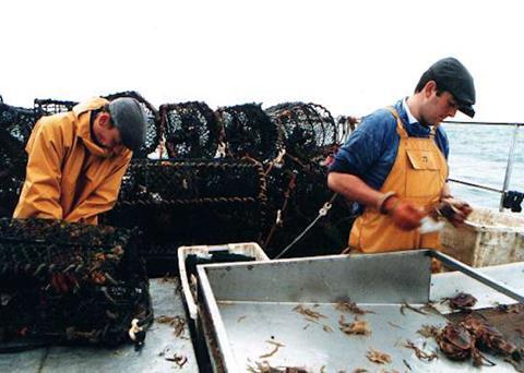 Managing the density of crab and lobster pots is crucial to sustainability Photo: University of Plymouth