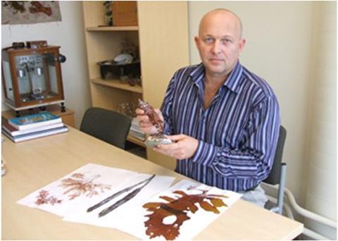 Dr Lindsey White with Undaria seaweed