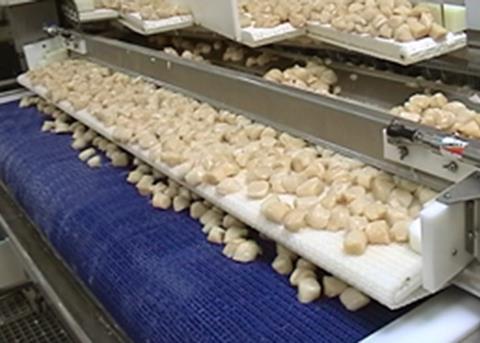 ACF invests in tunnel freezer and ice system