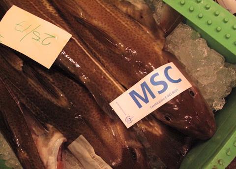 Joint efforts to head off North Sea cod cut