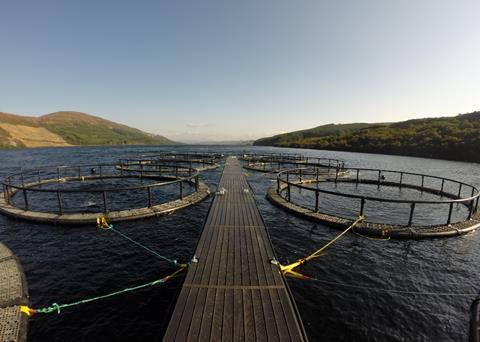 Scottish Sea Farms’ Loch Frisa site
