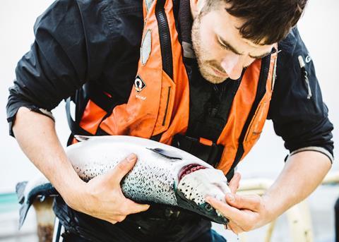 Investment in fish health delivers real results