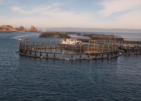 ?Fingerlings and other lings