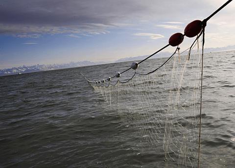 Action needed on pelagic drift net fishing, News