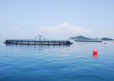 It is important that Norway continues to attract overseas interest in its aquaculture technology