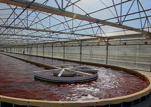 Heliae and Syndel sign deal