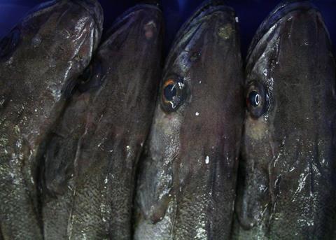 South Africa’s hake trawl fishery supports around 27,000 jobs Photo: MSC