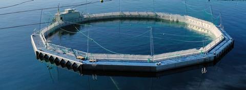 A semi-closed fish farm installation in a Norwegian fjord. Photo: LLS