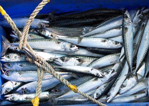 Fishermen and FAO tell a different story to the Living Blue Planet report. Image supplied by Seafish: www.seafish.org