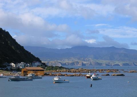 Fisheries are being sustainably managed and overfishing is decreasing in New Zealand