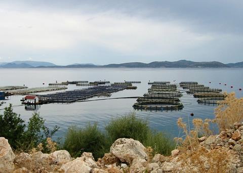 European fish farming