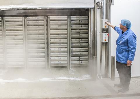 Capelin roe season starts in Iceland