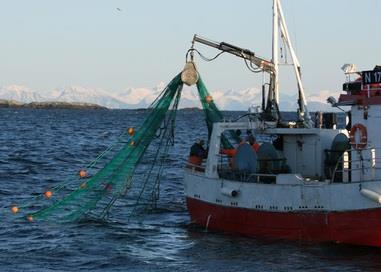 Norway’s coastal fleet prioritises cod. Credit: Frank Gregersen © Nofima