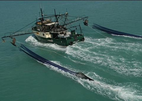 Redleg banana prawns are caught in the remote Joseph Bonaparte Gulf Photo: AFMA