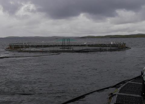 Grieg Newfoundland has plans to double Atlantic salmon production in Newfoundland Photo: Grieg