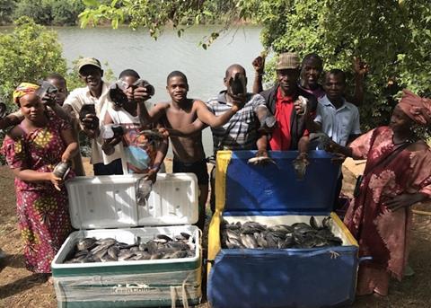 FAO fish farm project