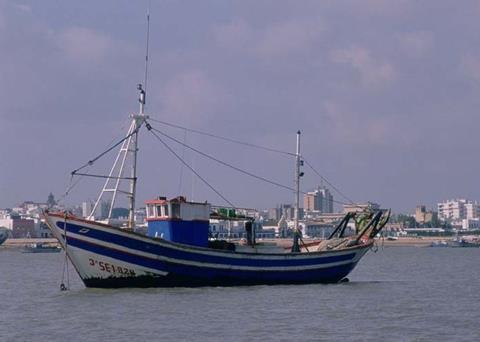 The Spanish anchovy quota has been increased. Credit: J. L. Perea/CENEAM - MMA