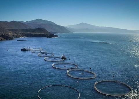 The technical visits will take in the best of the country's offshore farms and processing sites