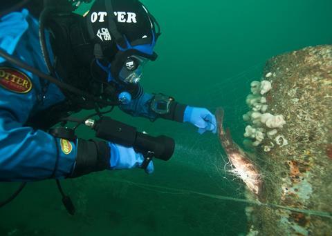 A diver is seen removing a rare Ballan Wrasse from nets at the Scylla Reef. Photo: Rich Stevenson at Diving and Marine Solutions.