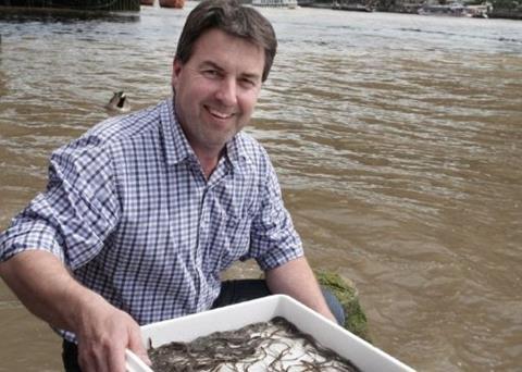 Richard Cook, MD Severn & Wye Smokery, releasing glass eels into the Thames