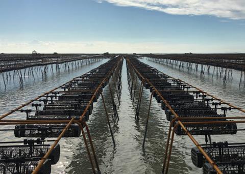 South Australia aquaculture leases extended