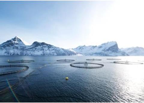 US anti-dumping and countervailing duty orders against Norwegian Atlantic salmon have been revoked. Photographer: Johan Wildhagen