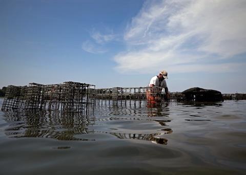 Sea Grant has announced federal funding of US$16m to support the aquaculture industry Photo: Sea Grant