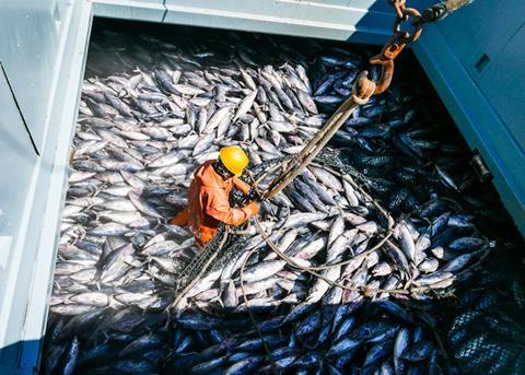 Warming seas threaten Pacific economies