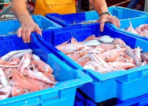 The ISU aims to to build a global consensus on sustainable fisheries management