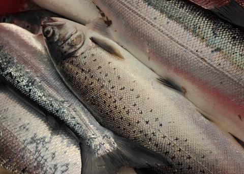 First Aquaculture Industry Leadership Group meeting took place in Inverness