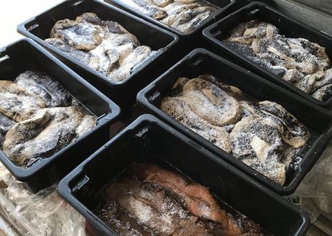 AFMA has found compliance in the Torres Strait to be good Photo: AFMA