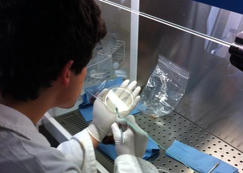 Clinical research will focus around the development and documentation of aquatic vaccines