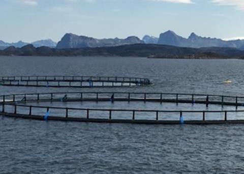 With their partnership with Salmon Group, Corbion and BioMar are focusing on sustainable feed
