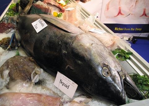 The IOTC must enforce a ban on driftnets in the Indian Ocean, says OPAGAC