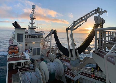 Roe capelin on the way