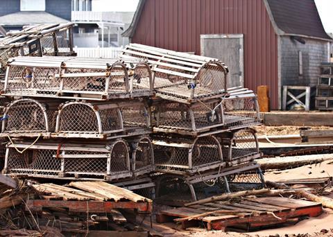 The PEI lobster fishery uses baited traps to catch American lobster. Photo: Martin Cathrae